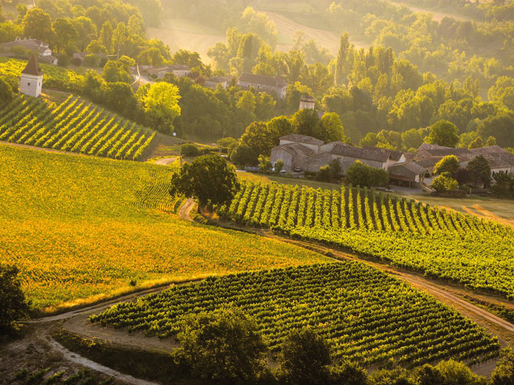 Location weekend Gite de la Plonde séjour vacances au village de Labessière-Candeil Marssac sur Tarn hôte Marie Cécile Bary loue gîte de charme près de Toulouse et Gaillac