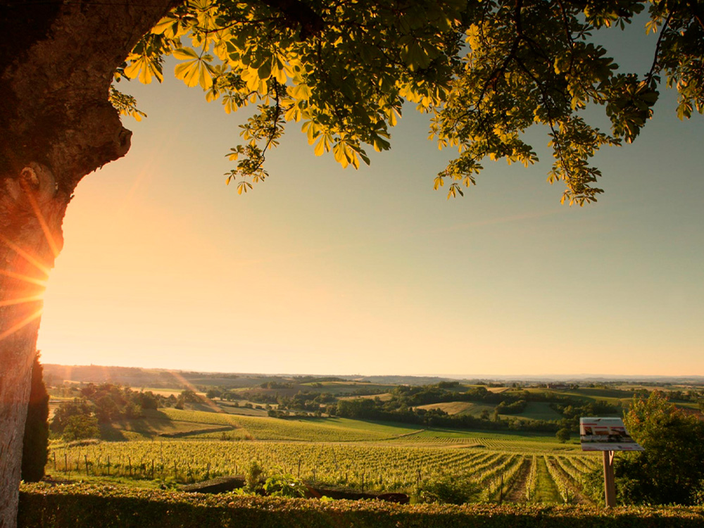 Location weekend Gite de la Plonde séjour vacances au village de Labessière-Candeil Marssac sur Tarn hôte Marie Cécile Bary loue gîte de charme près de Toulouse et Gaillac