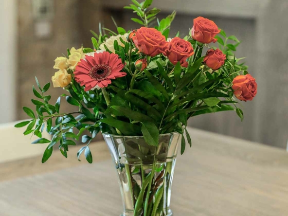 Location weekend Gite de la Plonde séjour vacances au village de Labessière-Candeil Marssac sur Tarn Occitanie louer un gîte de charme près de Toulouse et Albi