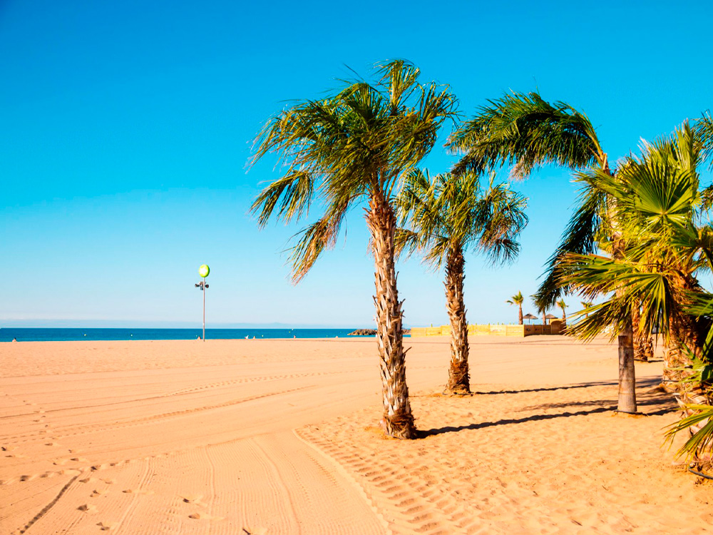 Location weekend Gite de la Plonde séjour vacances au village de Labessière-Candeil Marssac sur Tarn hôte Marie Cécile Bary loue gîte de charme près de Toulouse et Gaillac