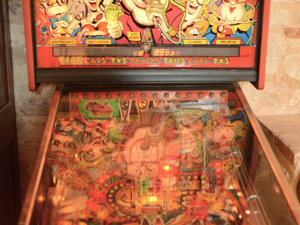 Location weekend Gite de la Plonde séjour vacances au village de Labessière-Candeil Marssac sur Tarn Occitanie louer un gîte de charme près de Toulouse et Albi