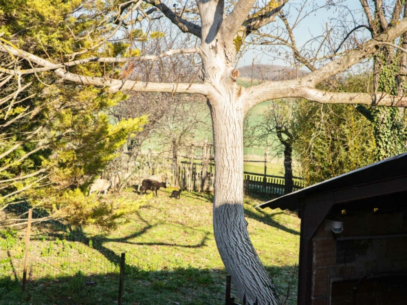 Location weekend Gite de la Plonde séjour vacances au village de Labessière-Candeil Marssac sur Tarn Occitanie louer un gîte de charme près de Toulouse et Albi