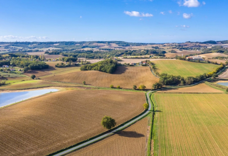 Location weekend Gite de la Plonde séjour vacances au village de Labessière-Candeil Marssac sur Tarn hôte Marie Cécile Bary loue gîte de charme près de Toulouse et Gaillac